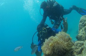 Open Water Diver Course PADI CERTIFIED